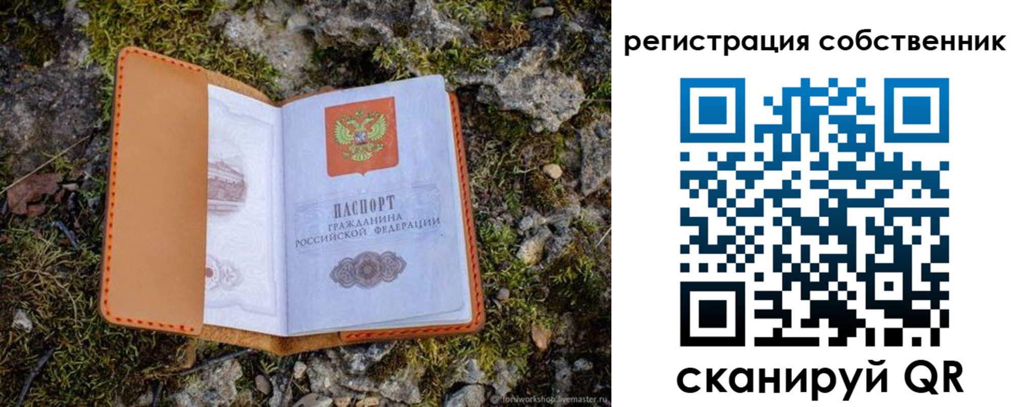 прописка поиск в Рошале